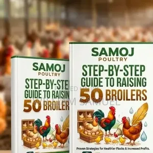Step by Step Guide on Raising 50 Broilers