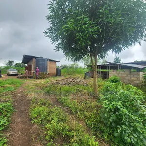 30 Acres (11.9 Hectares) of Farm Land With C of O in Ido