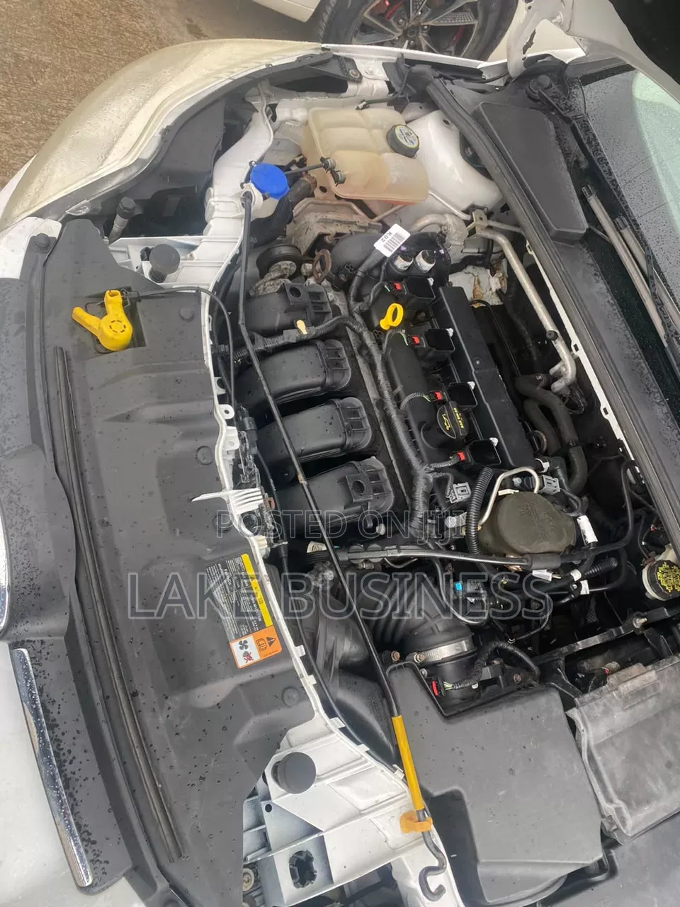 Ford Focus 2013 White