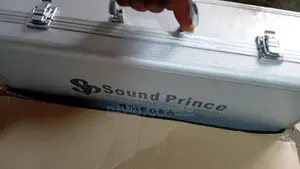 Wireless Microphone