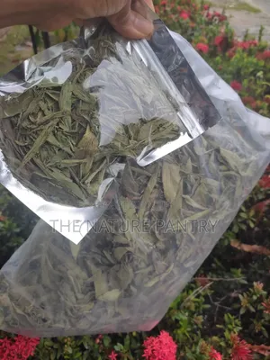 Stevia Leave