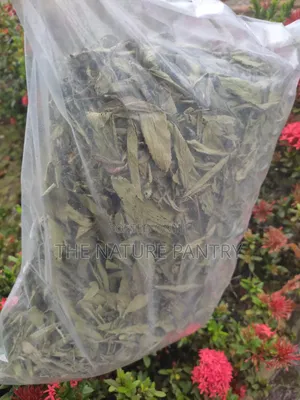 Stevia Leave