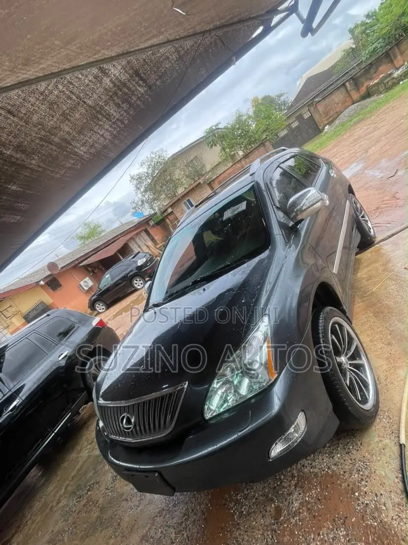 Lexus RX 2005 Gray