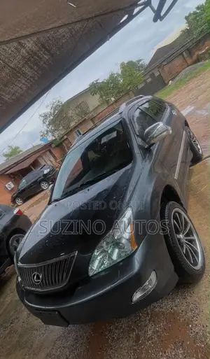 Lexus RX 2005 Gray