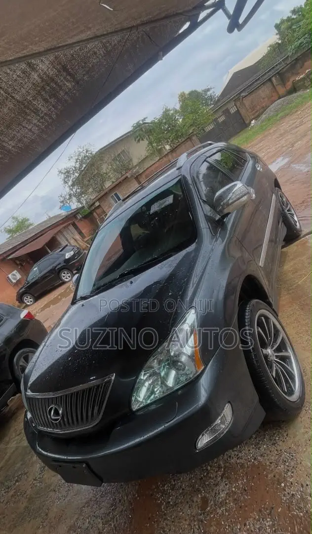 Lexus RX 2005 Gray