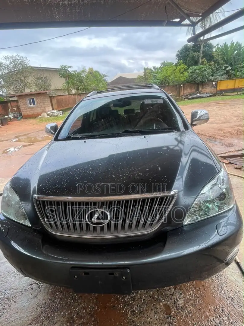 Lexus RX 2005 Gray