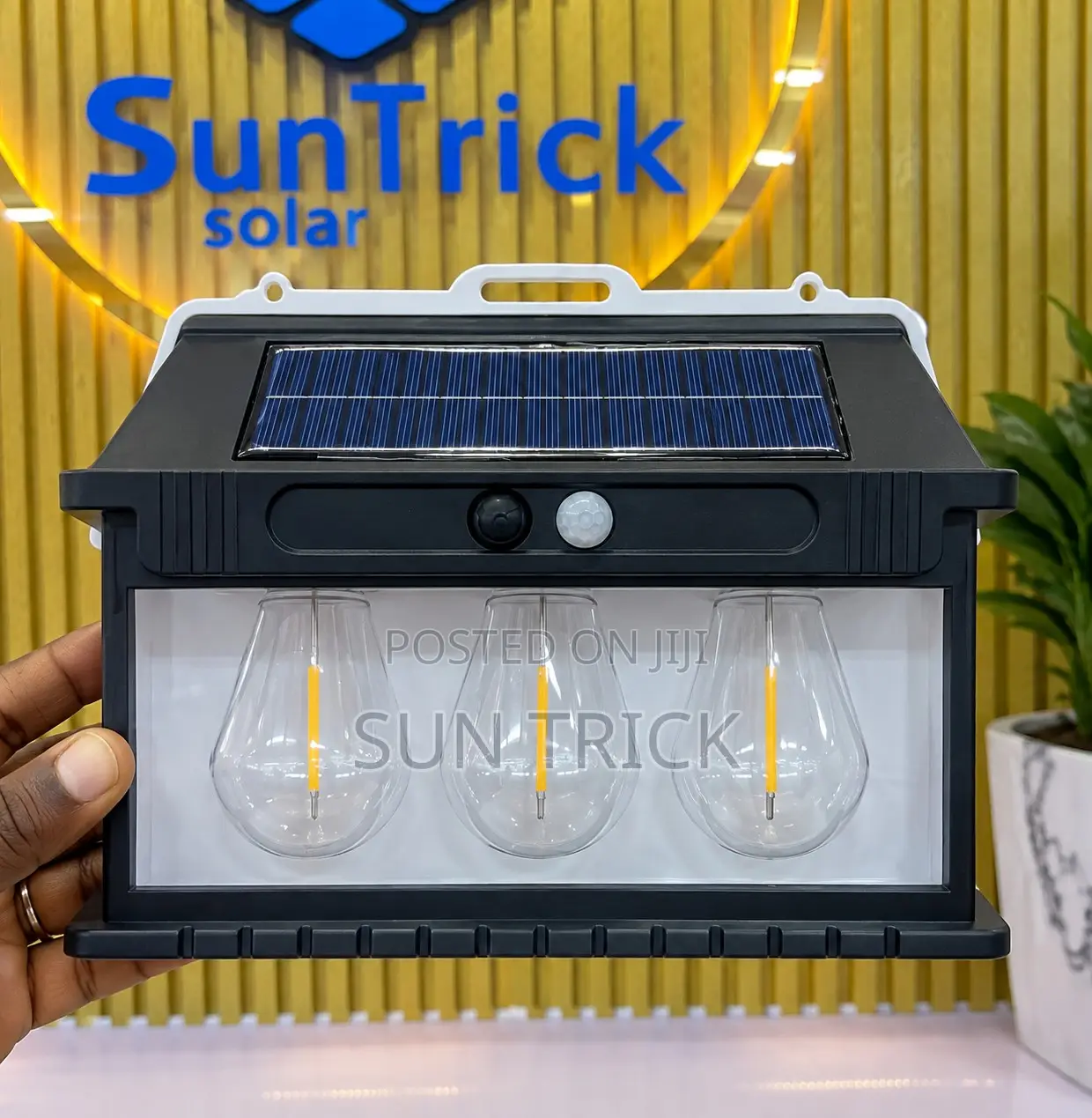 Suntrick Motion Sensor Solar Wall Light