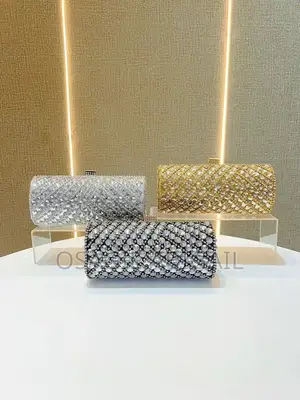 Stone Studded Clutch Purse