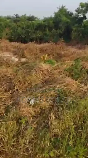 Land With Foundation