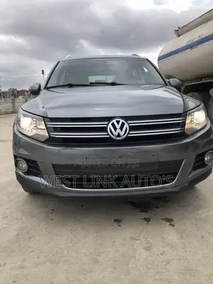 Volkswagen Tiguan S with Sunroof 2013 Gray