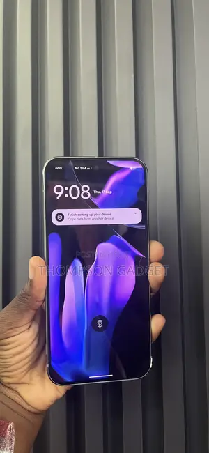 Google Pixel 9 Pro XL 256 GB Gray