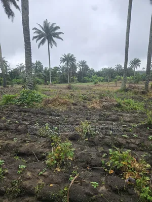 3 Acres of Swamped Land for Farming