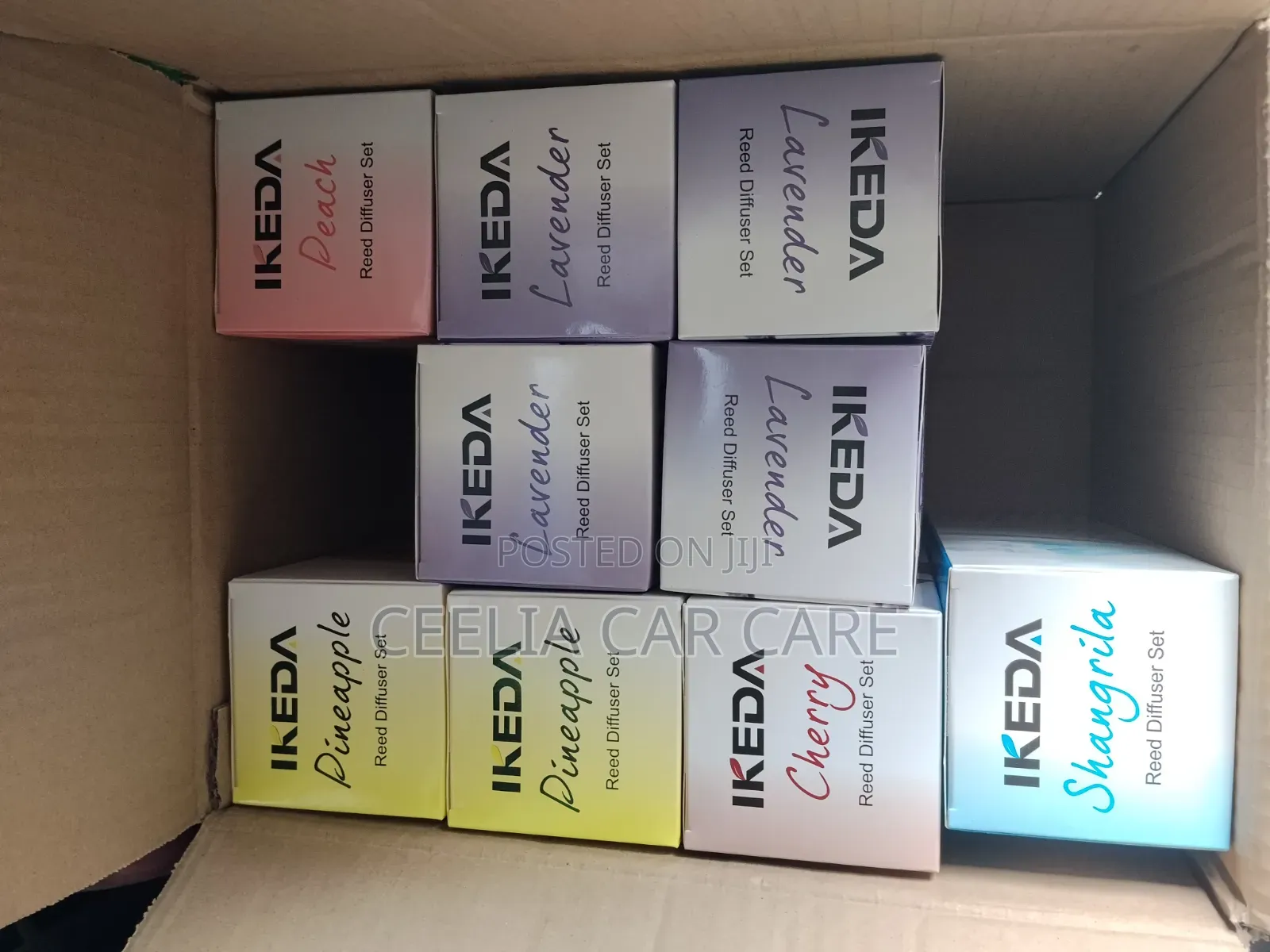 Ikeda Air Diffuser