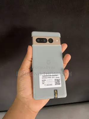 Google Pixel 7 Pro 256 GB Gray