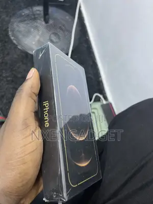New Apple iPhone 12 Pro Max 256 GB Gold
