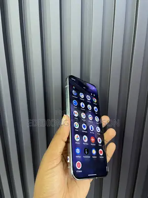 Google Pixel 9 Pro XL 256 GB Gray