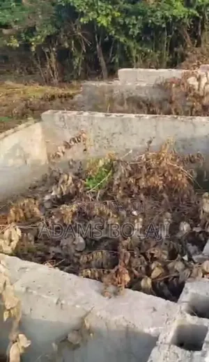 Plot of Land and Foundation on It