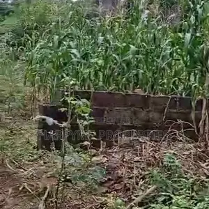 Quick Sale | Prime Residential Land in Katampe District