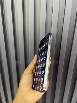 Google Pixel 9 Pro XL 256 GB Gray
