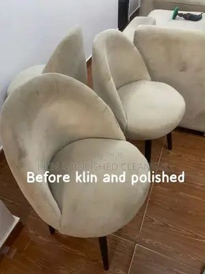 Cleaning Up Sofa/Rug