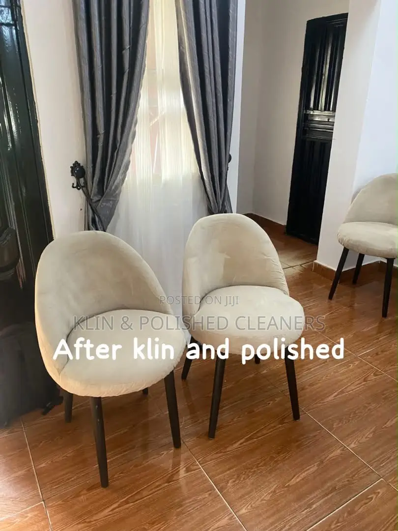 Cleaning Up Sofa/Rug