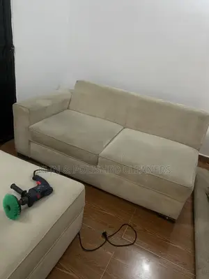 Cleaning Up Sofa/Rug