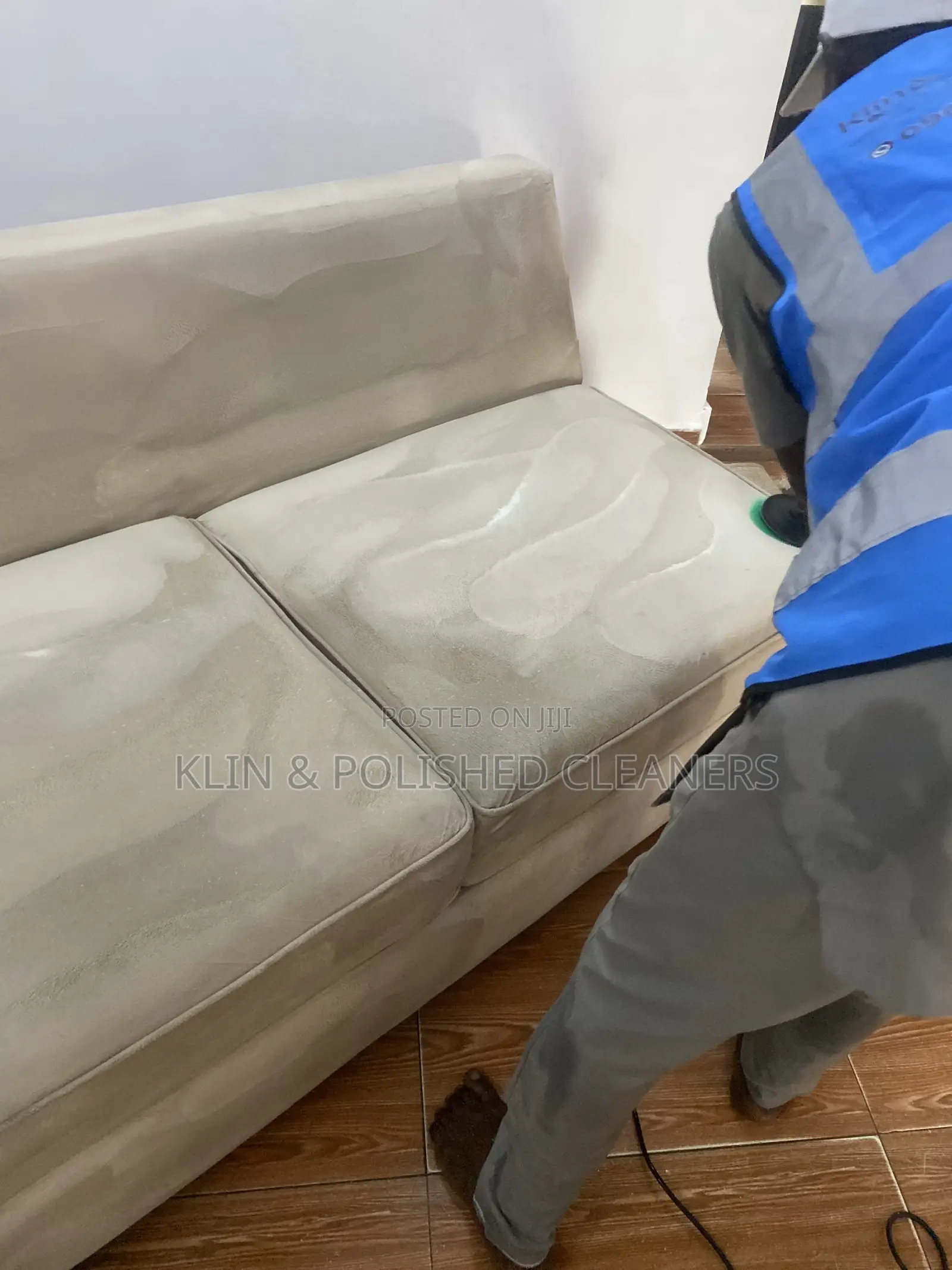 Cleaning Up Sofa/Rug