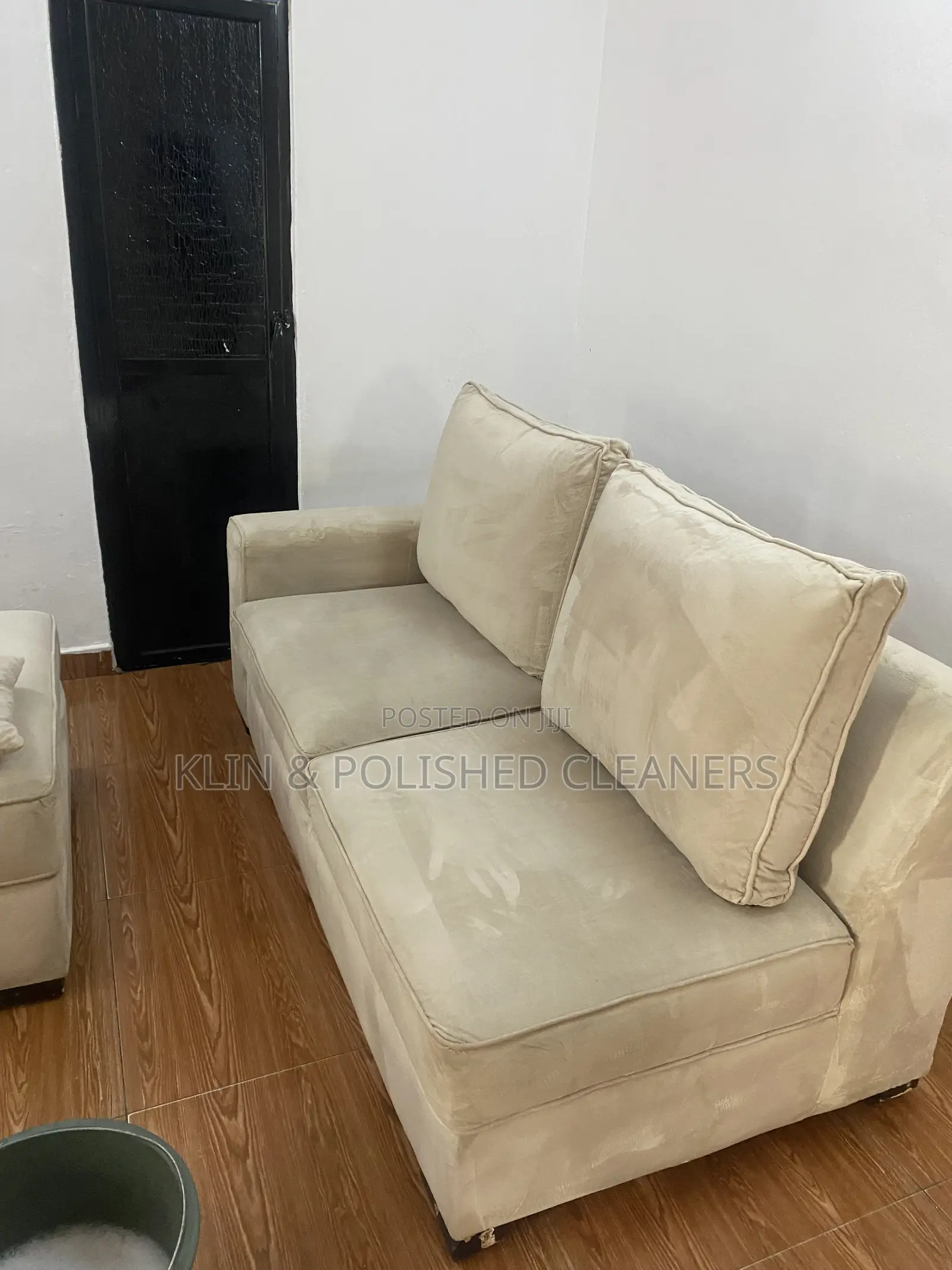 Cleaning Up Sofa/Rug