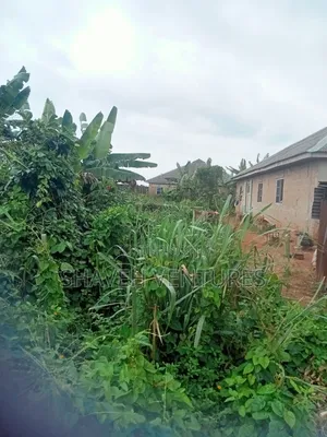Half Plot for Sale at Abiola Gasline Cannacity