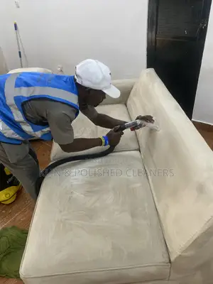 Cleaning Up Sofa/Rug