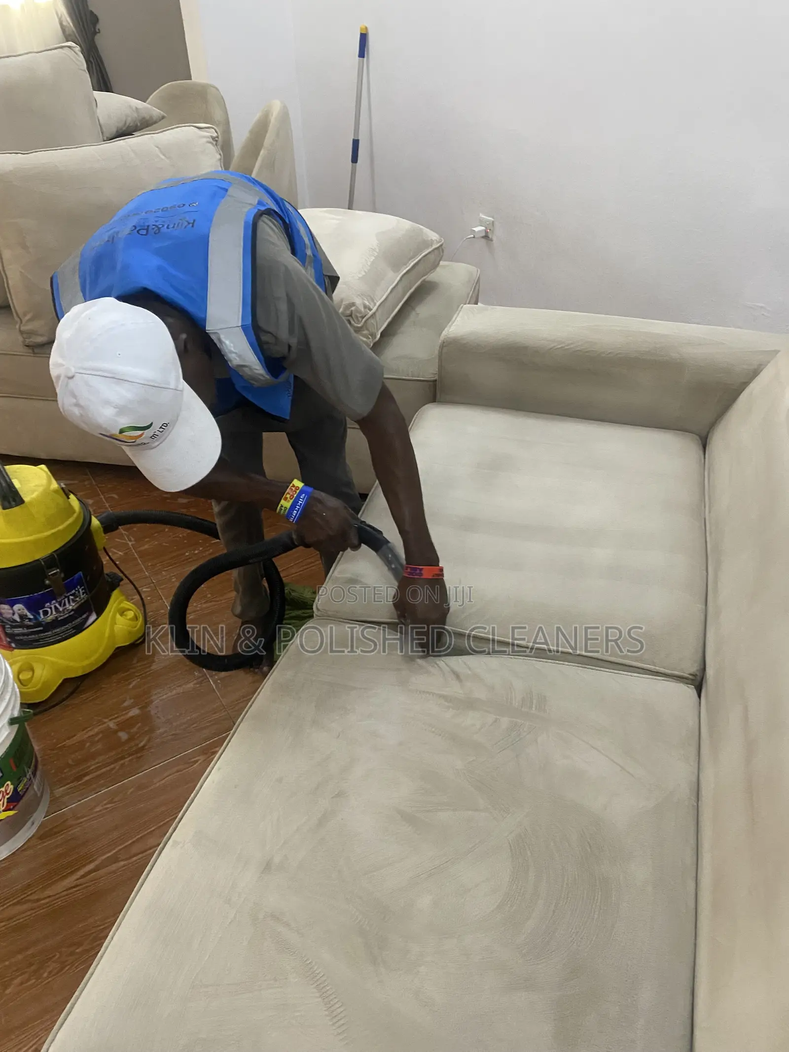 Cleaning Up Sofa/Rug