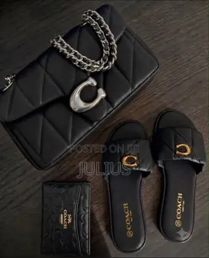 Females Bags and Slide