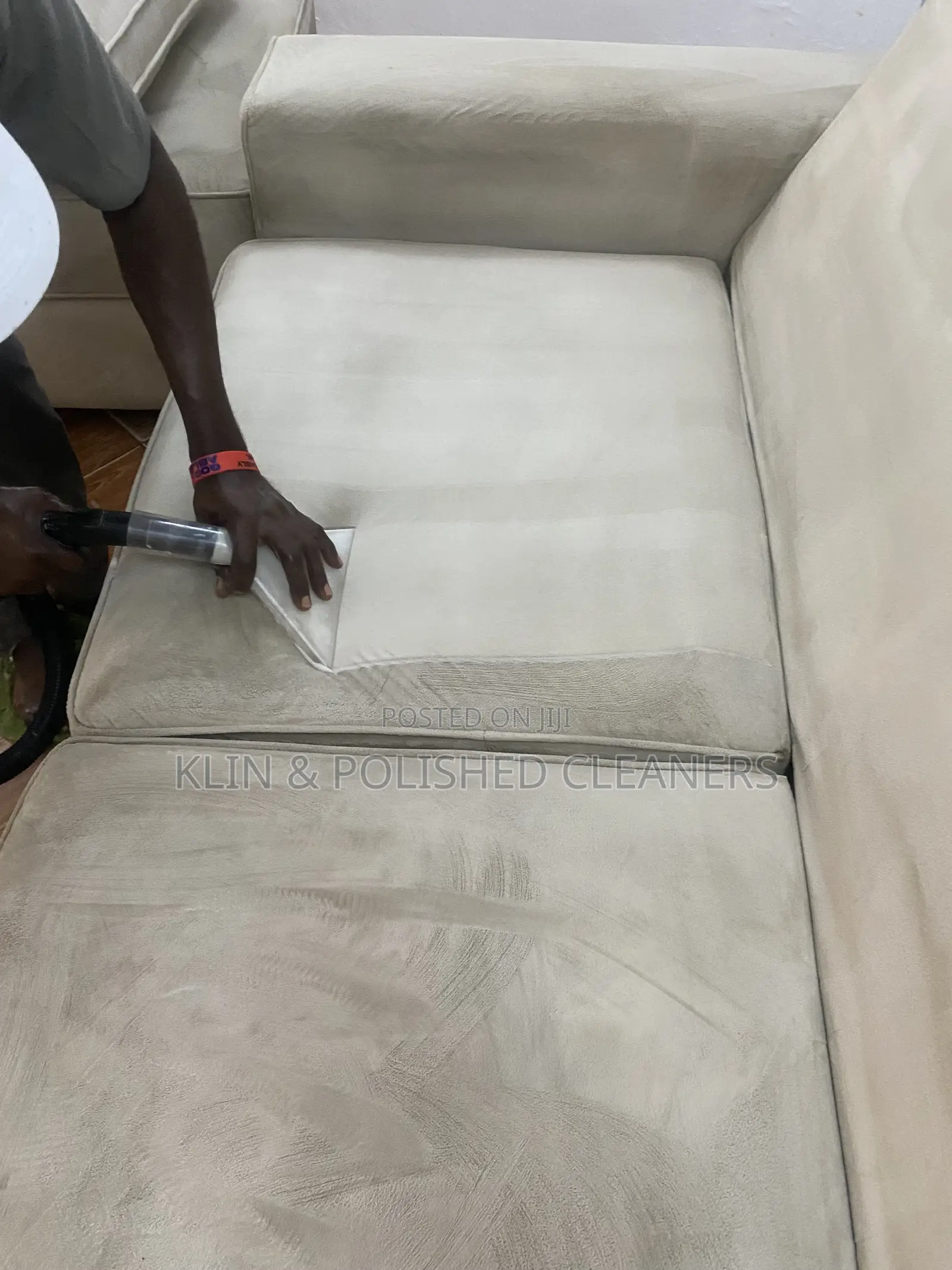 Cleaning Up Sofa/Rug