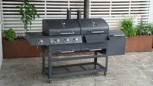 Charcoal and Gas BBQ