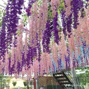Wisteria Dropping Flower