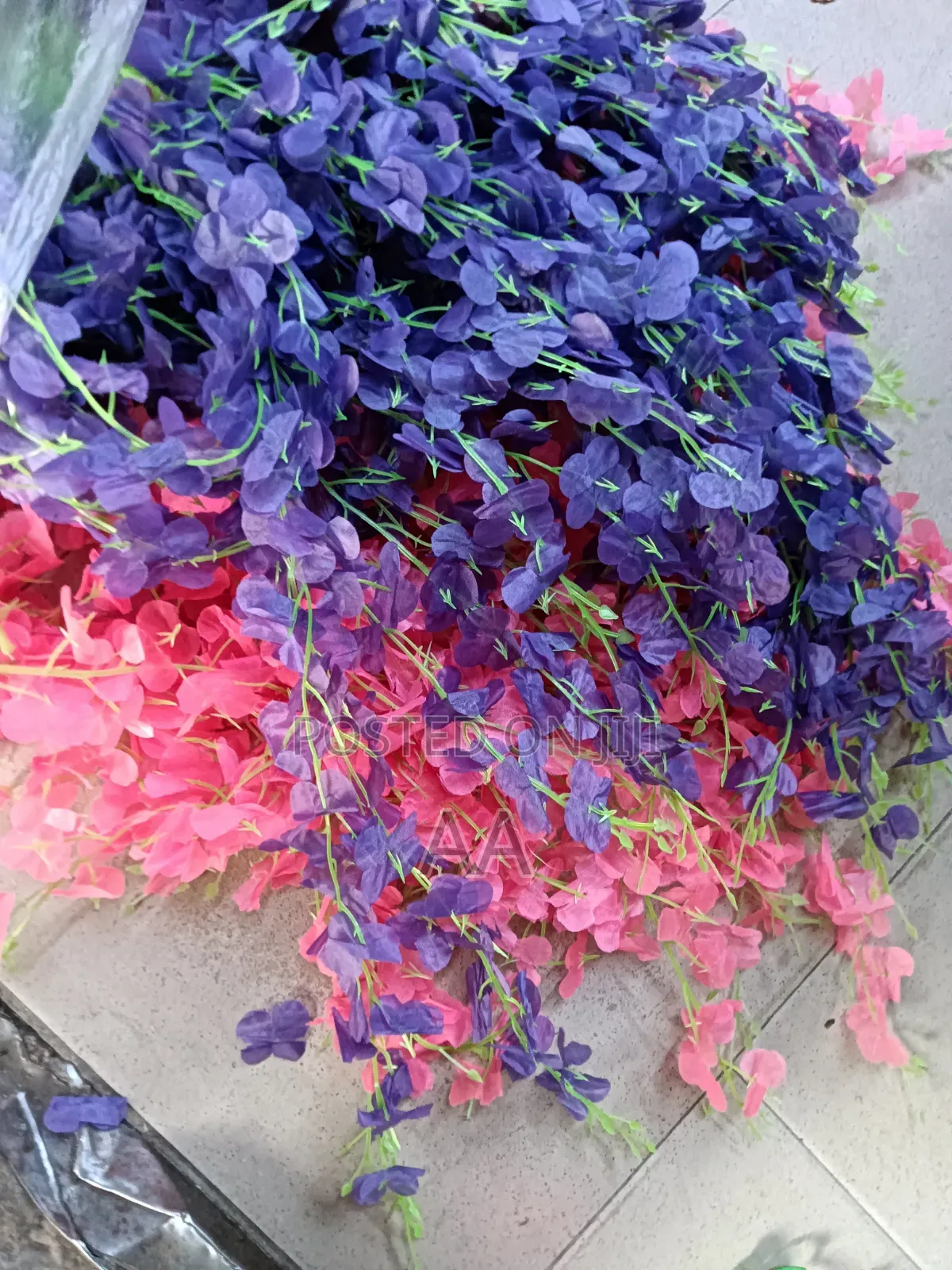 Wisteria Dropping Flower