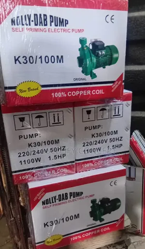 1.5hp Surface Pumping Machine, Brend Nolly-Dab