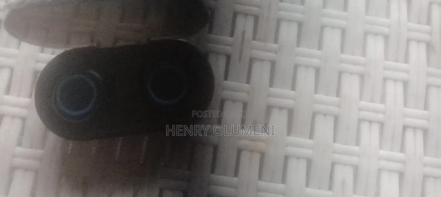 Black Ear Bug