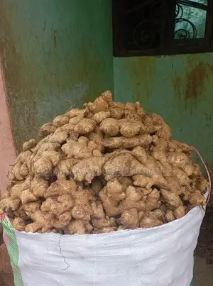 Fresh Ginger for Sale