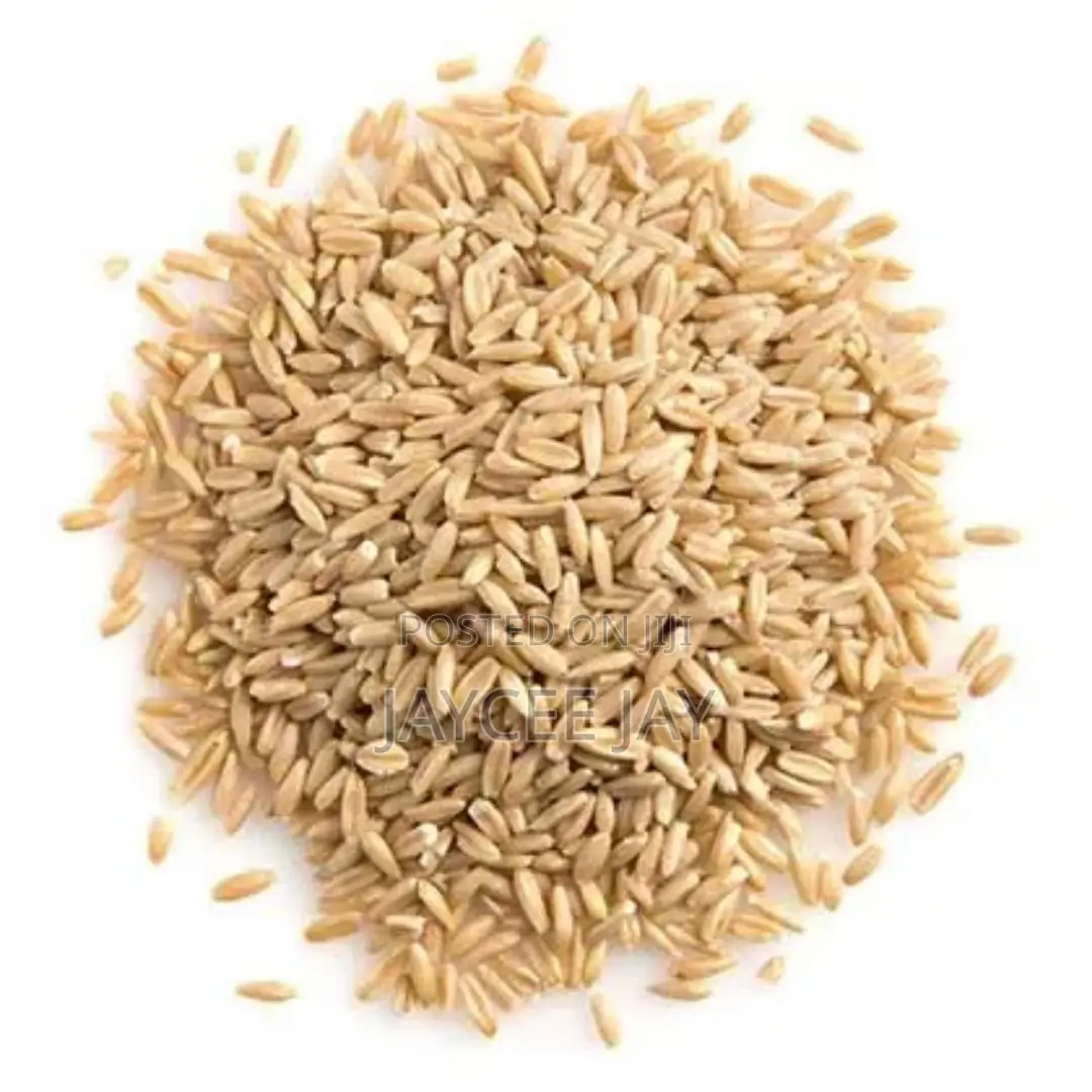 Organic Oat Groats (Oat Seeds)