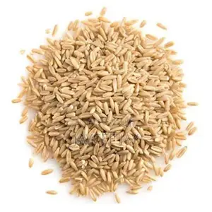 Organic Oat Groats (Oat Seeds)