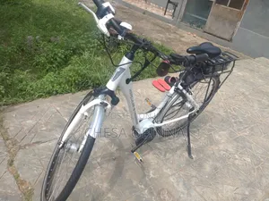 Ebicycle Hercule Roberta