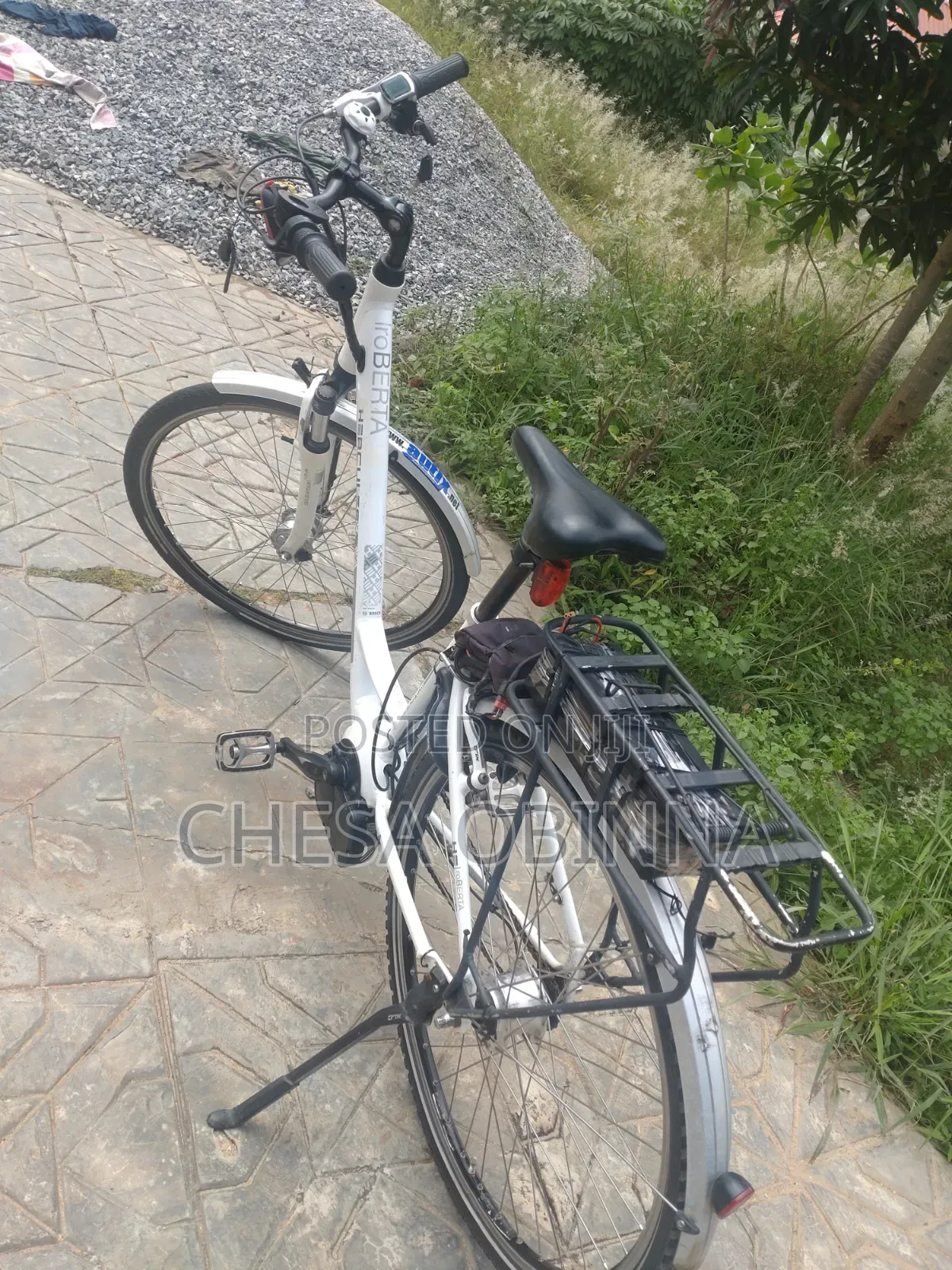 Ebicycle Hercule Roberta