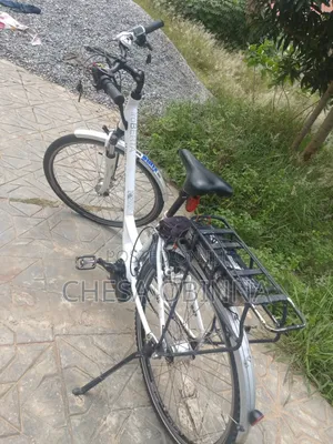Ebicycle Hercule Roberta