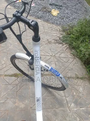 Ebicycle Hercule Roberta