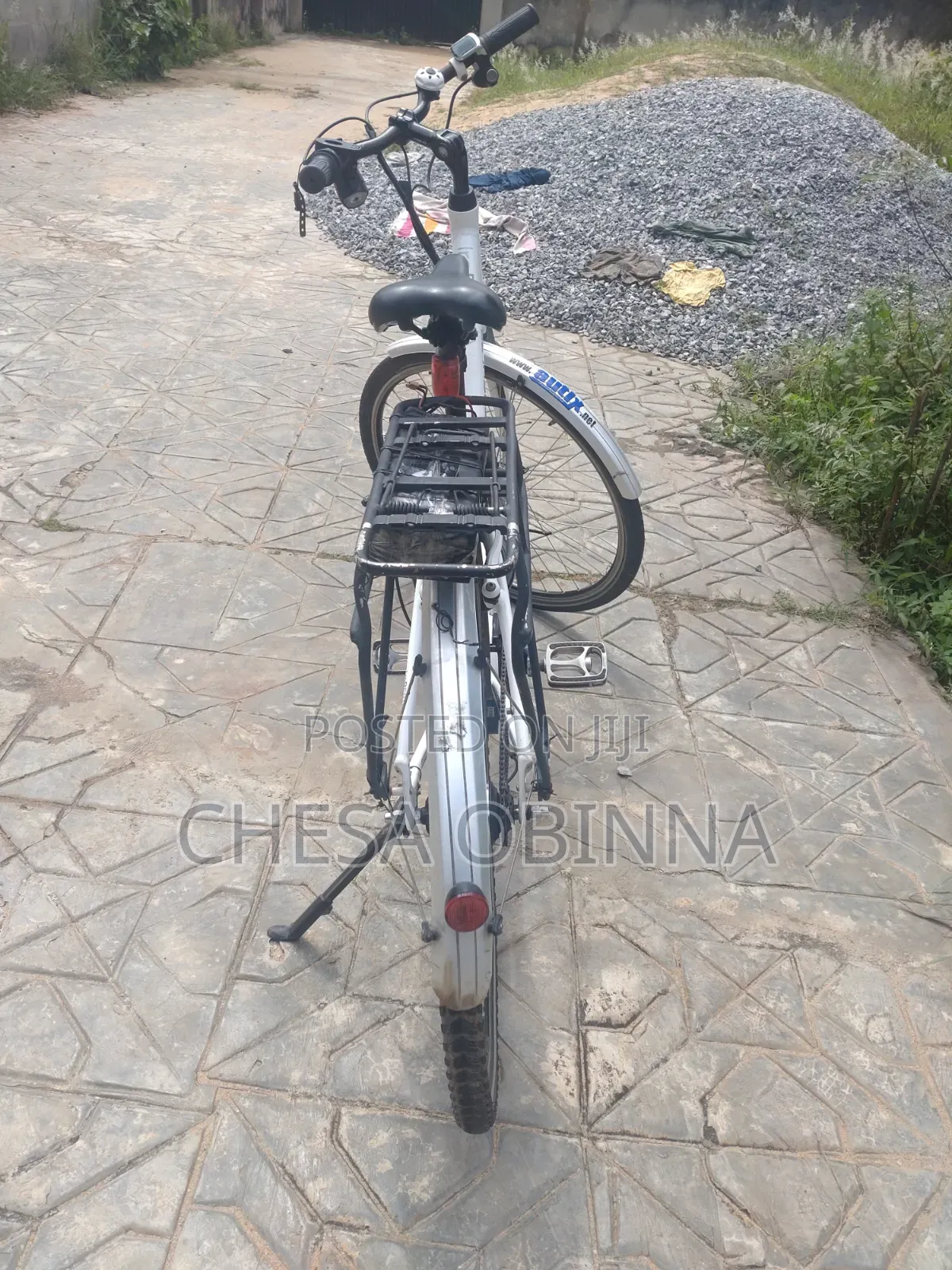 Ebicycle Hercule Roberta