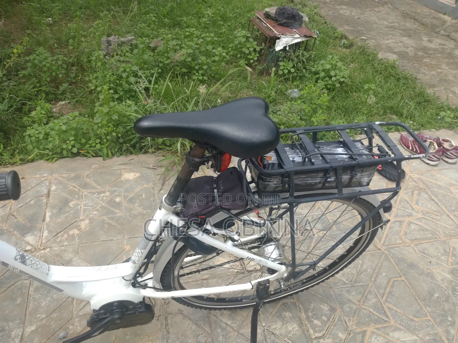 Ebicycle Hercule Roberta
