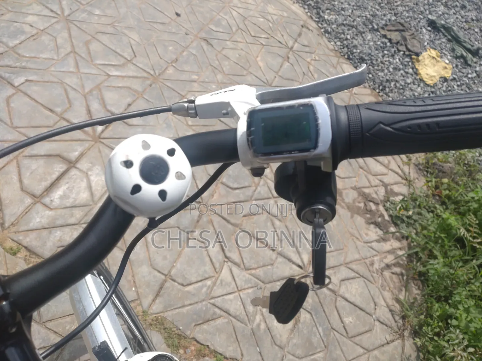 Ebicycle Hercule Roberta