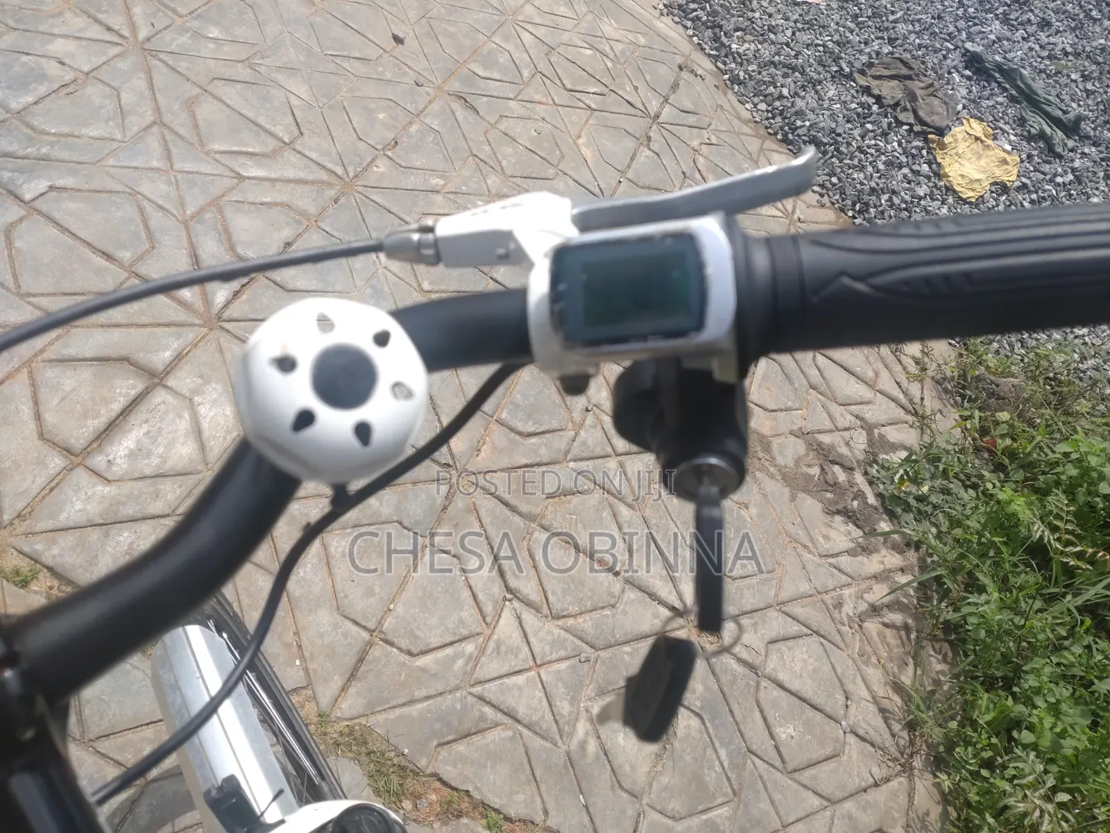 Ebicycle Hercule Roberta