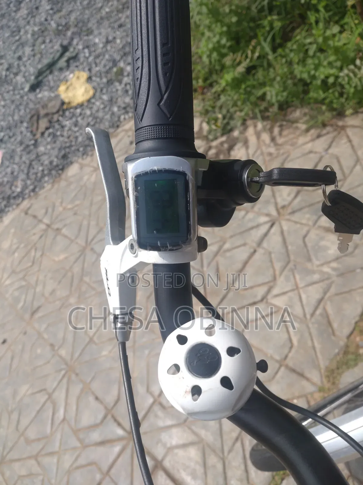 Ebicycle Hercule Roberta